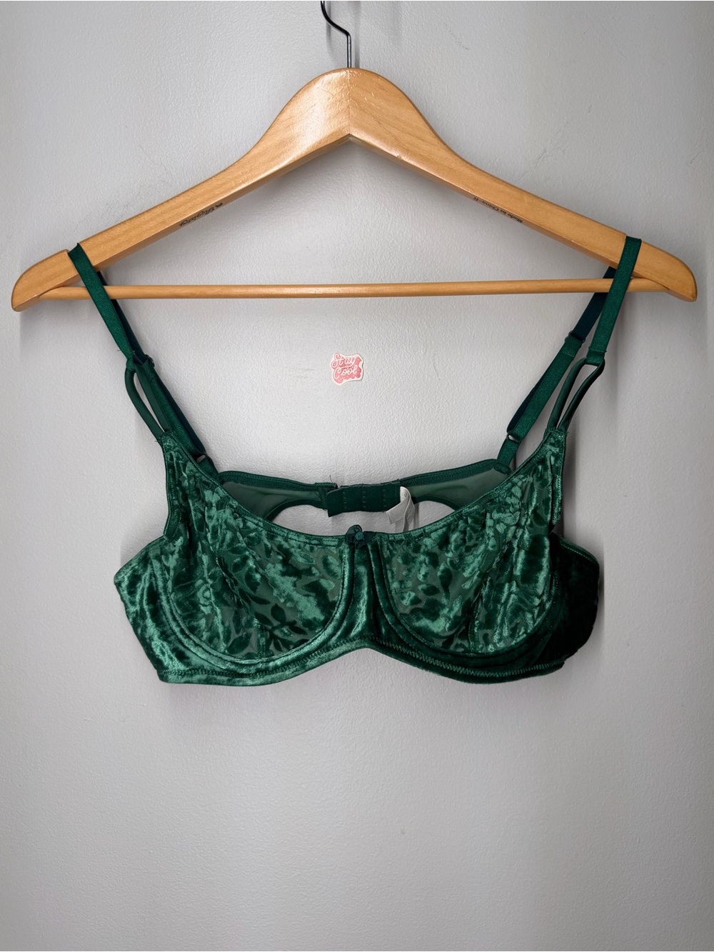 Vintage 1997 Victoria’s Secret Green Floral Burnout Bra Whimsigoth Romantic